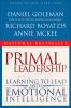 Primal_leadership