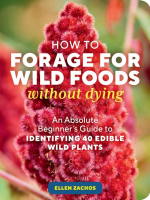 How_to_forage_for_wild_foods_without_dying