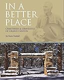 In_a_better_place