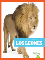 Los_leones__Lions_