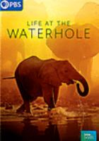 Life_at_the_waterhole