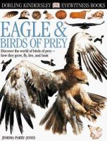 Eagle___birds_of_prey