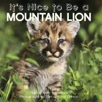 It_s_nice_to_be_a_mountain_lion