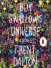 BOY_SWALLOWS_UNIVERSE